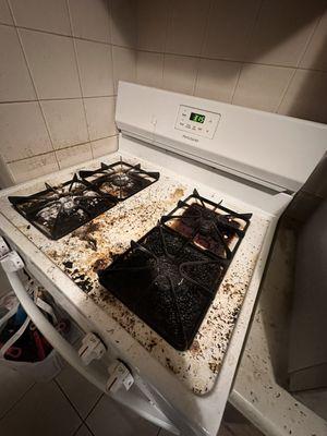 Yar Cleaning Service