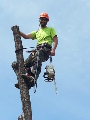 Tree Pros