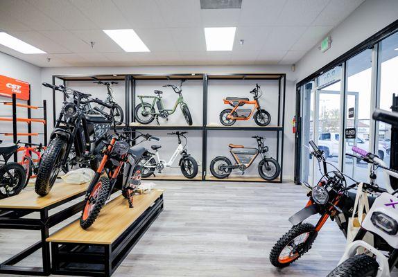 Riding 5 Electric Bikes