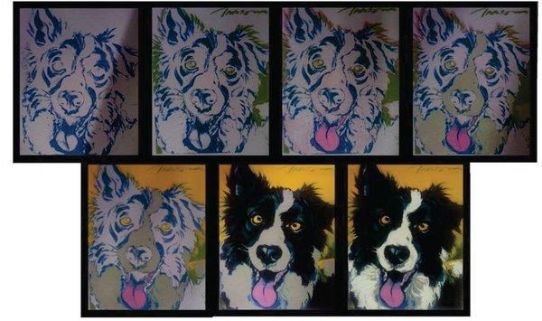 Progression of 7 color print