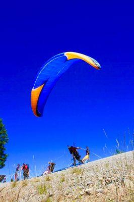 Let the race begin...