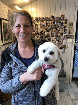 Hewlett Animal Hospital & Pet Resort