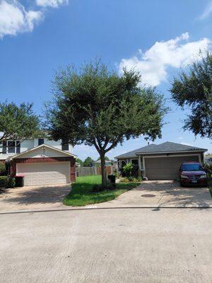 MGO Solutions & Lawn Care