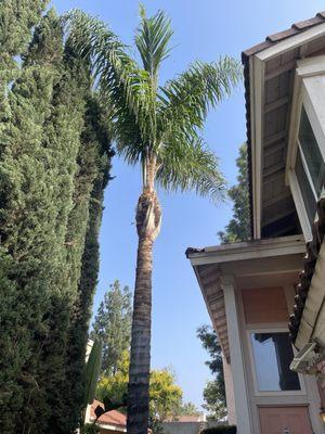 LV Landscaping & Concrete Works