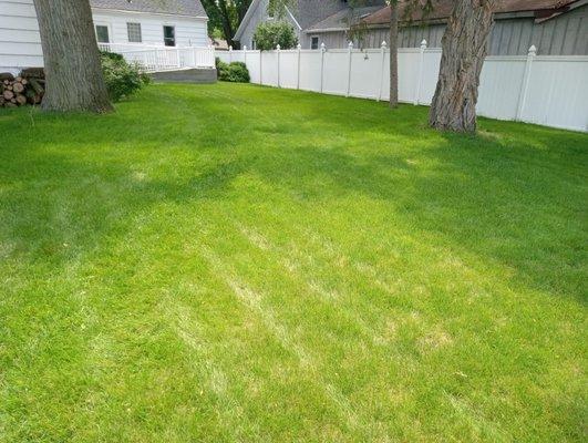 Miller's Helping Hand