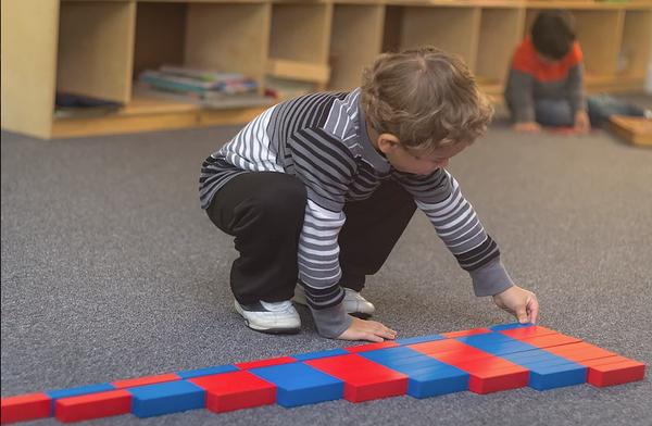 Early Steps Montessori Academy
