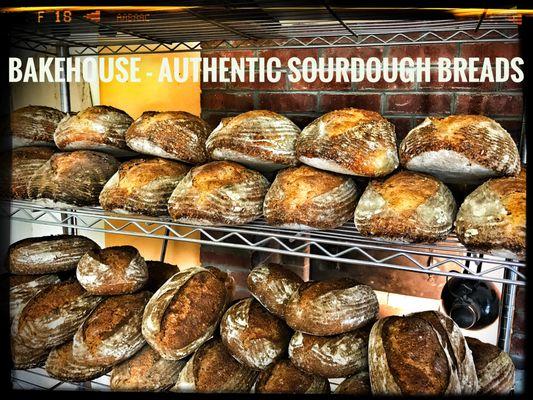 BakeHouse Bread NM