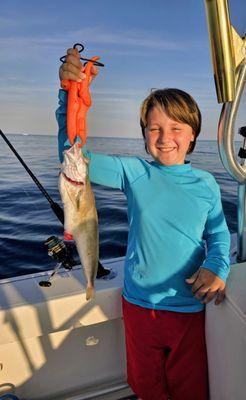 Scale House Charters