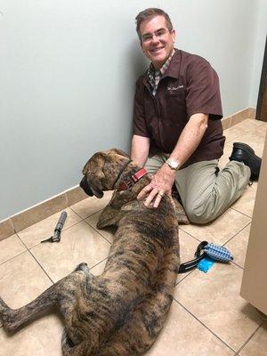 Grand Parkway Animal Hospital