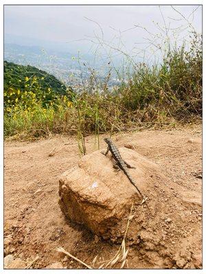 Mystic Canyon Hiking Trail