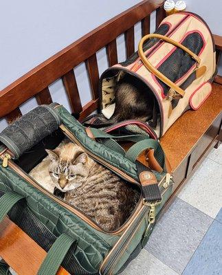 North Hoffman Veterinary Clinic