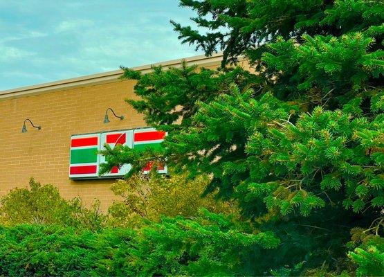 7-Eleven