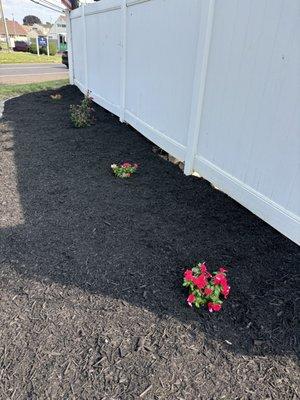 Golden Cut Landscaping