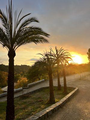 Trabuco Creek Equestrian