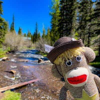 White Mountains Trail System