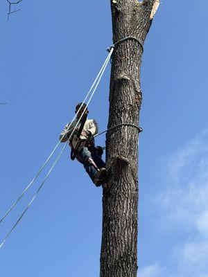 Santos’ Hauling & Demolition