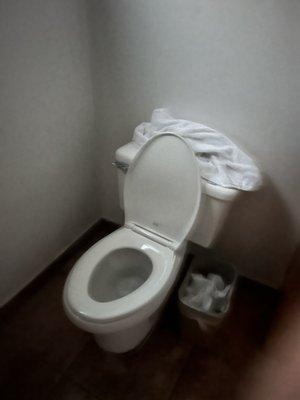 No toilet paper holder. Just ghetto rolls on the sink. Pics of the mildew and grime everywhere are not safe to post.