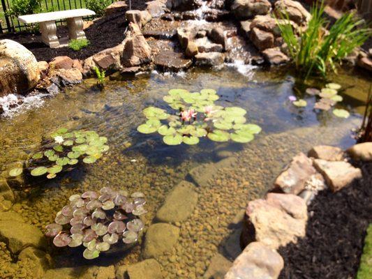 Pristine Ponds & Homes