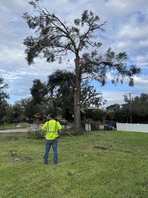 North River Tree Service