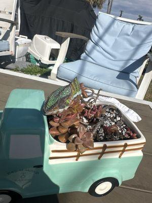 Medlin Exotic Animal Medical Services-MEAMS