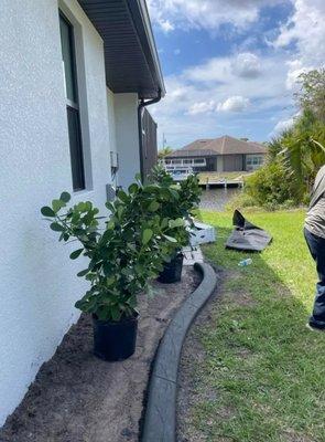 Fabian Eduardo Landscaping