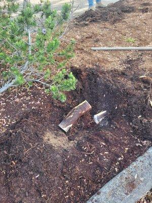 M & J Landscaping