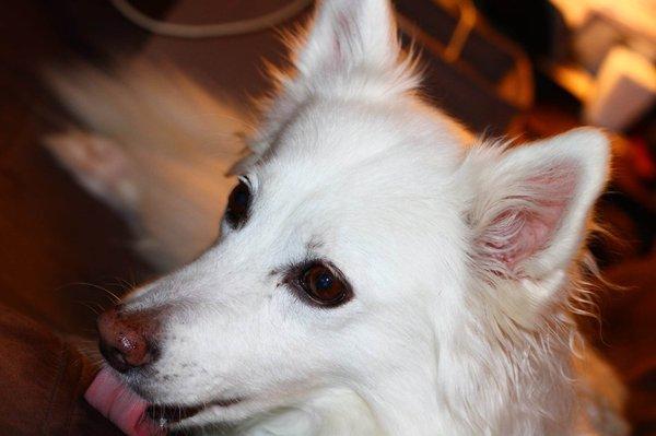 On Scene Photography