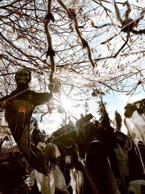 Coolest decorations for Halloween!