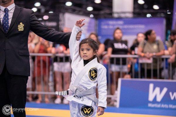 Academia Washington Luis Brazilian Jiu-jitsu