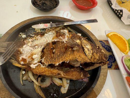 El Paso Tacos & Tequila