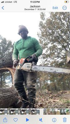 Elite Construction and Tree Removal