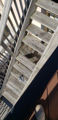 Mainstay Property Management