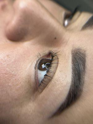 Lash Lift and Brow Lamination + Tint