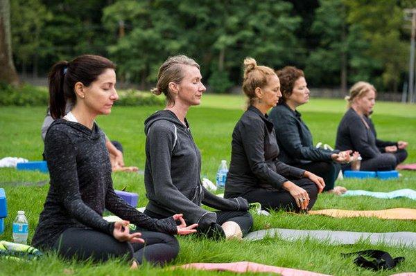 Stefanie Maura, MFA, MLS