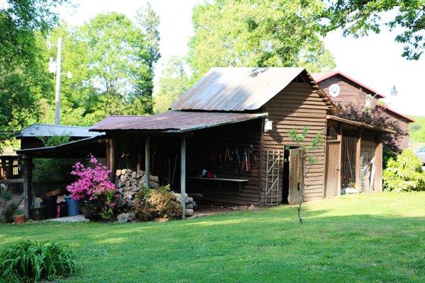 Foolish Heart Kennels