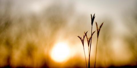 Nebraska Mental Health Centers