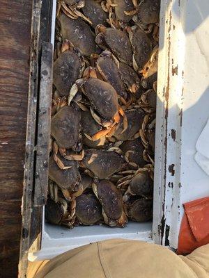 Salty Lady Sportfishing