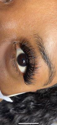 The Butterfly Effect Aesthetics & Beauty