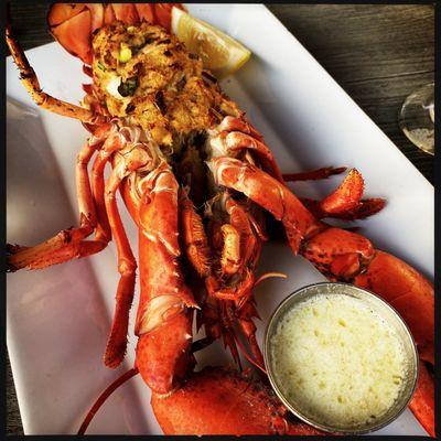 Crab stuffed lobster