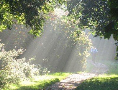 One of the greatest gifts you can give your family at the end of your life is the gift of a plan.