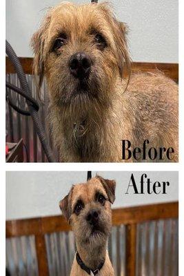 Peavine Lane Pet Spa
