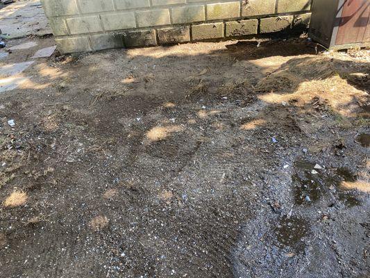 Low price junk removal