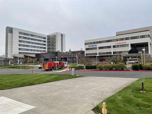 Rebound Orthopedics & Neurosurgery