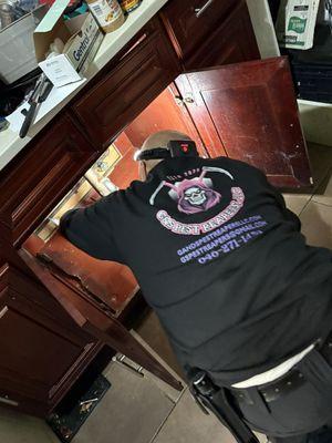 Thorough inspections and treatments always.