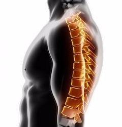 What separates us from other chiropractors? The answer is simple; I spend the time needed to teach and inform them from the v...