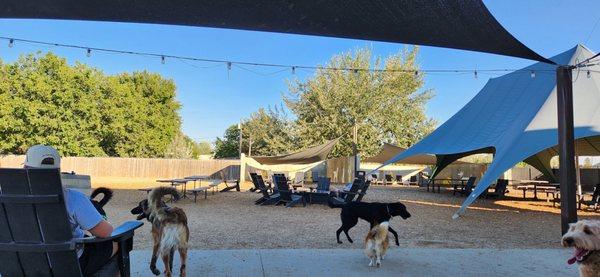 Outdoor area - shaded