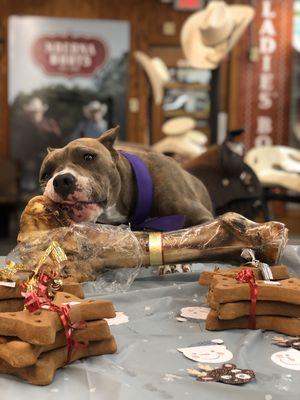 Holiday treats for our pet friends