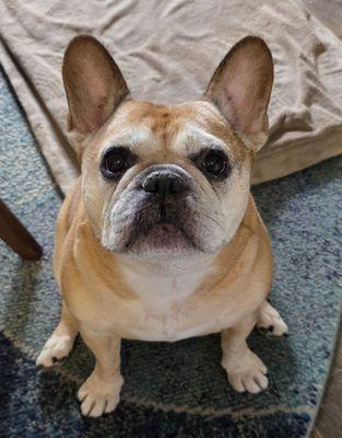 Evergreen Animal Hospital