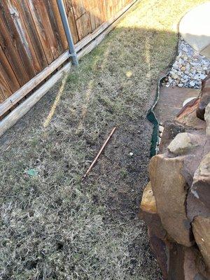 Three Kings Grounds Keeping