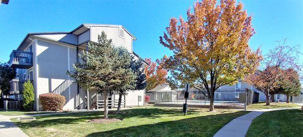 Dog Station and landscape